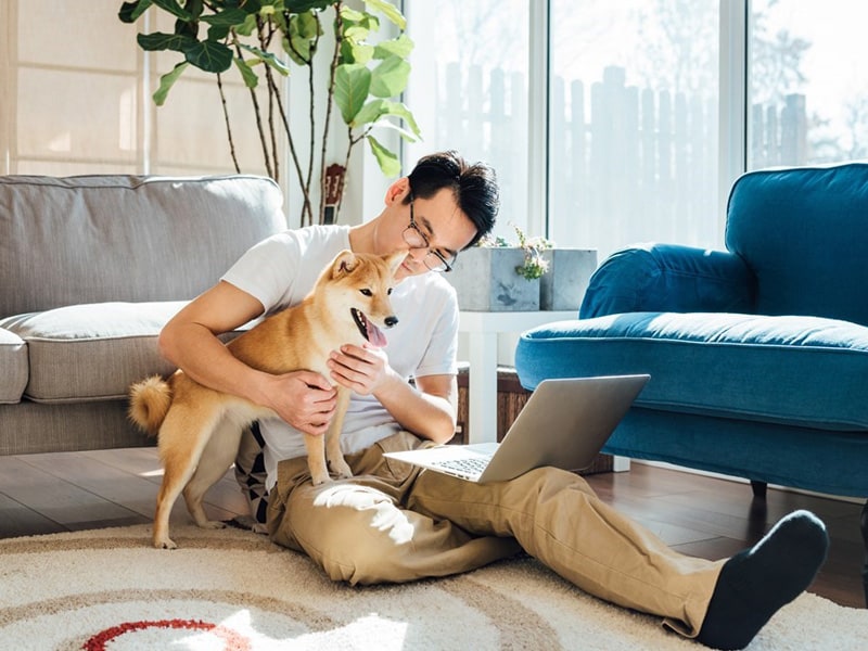 Man playing with his dog on the living room floor in front of laptop