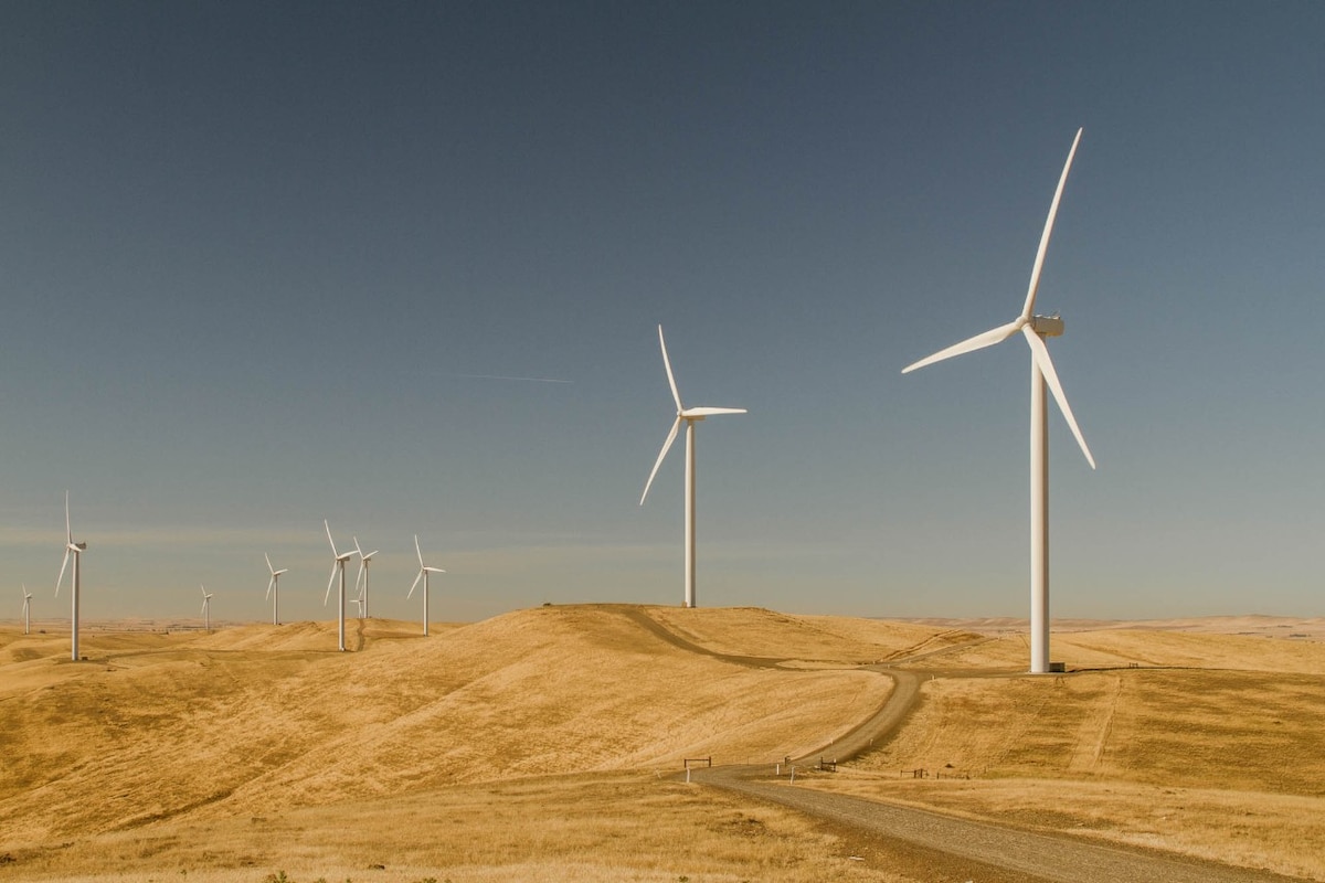 Photo of a wind farm