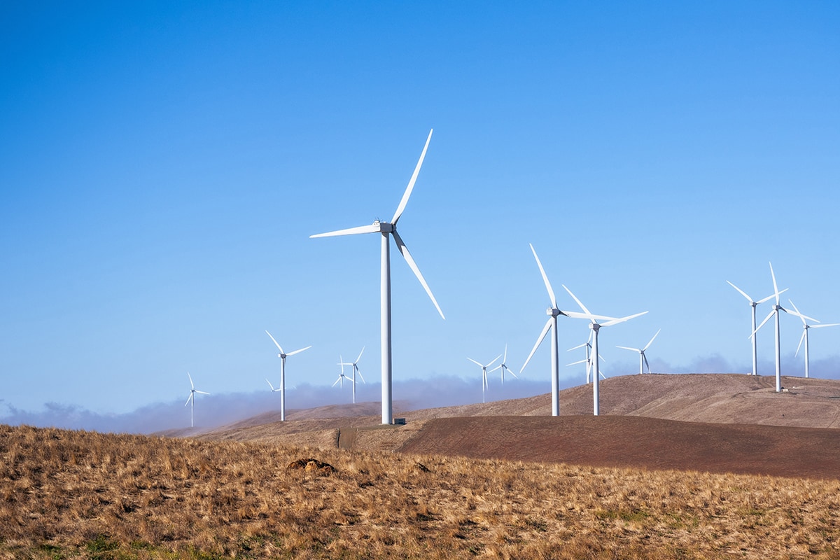 A joyful child perched on a bearded man's shoulders laughs towards the sky, while the man looks up at the child with a smile. They are outdoors with wind turbines in the background under a vast, clear sky, suggesting a moment of happiness in a sustainable, wind-powered environment.