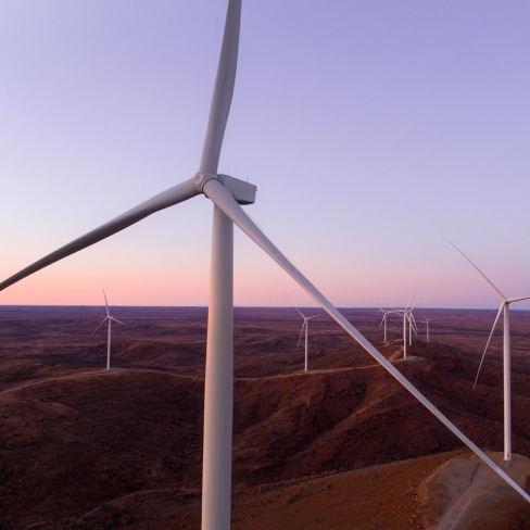 Close up of white wind turbines in a field at dusk