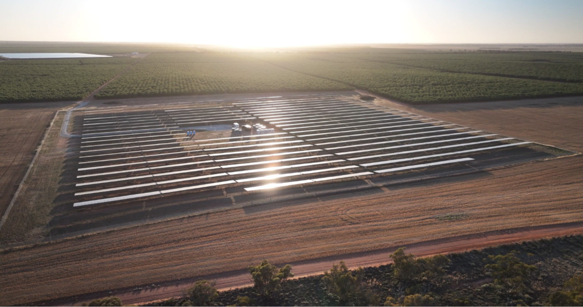 Cadell Orchards Microgrid and Solar Farm Installation
