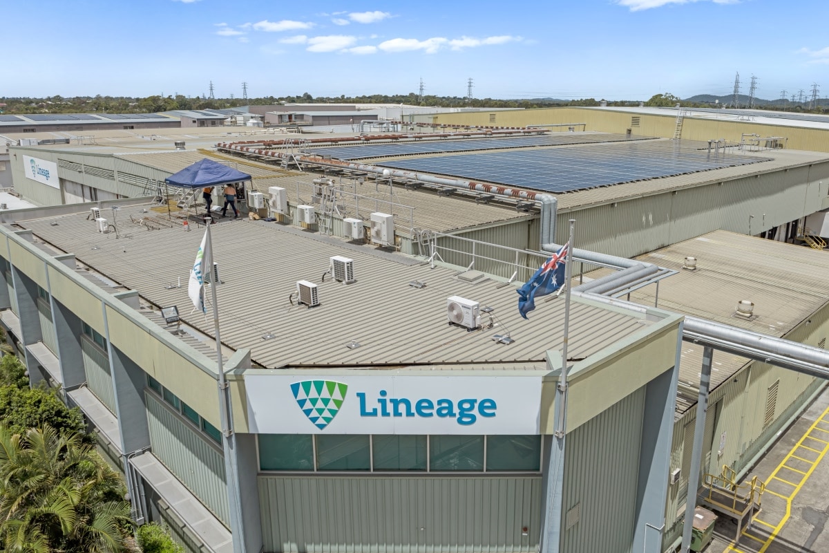 Lineage building