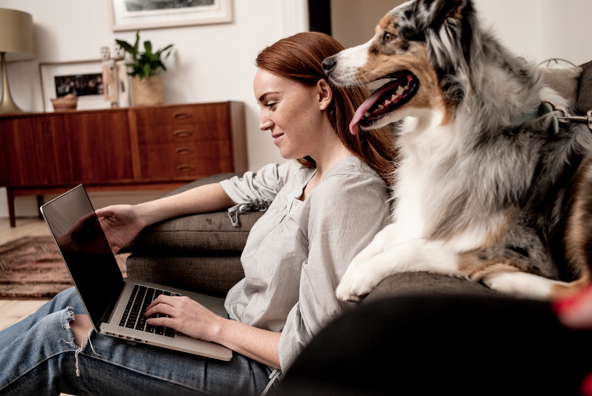 agl-ps-image-living-laptop-woman-and-dog-55.jpg