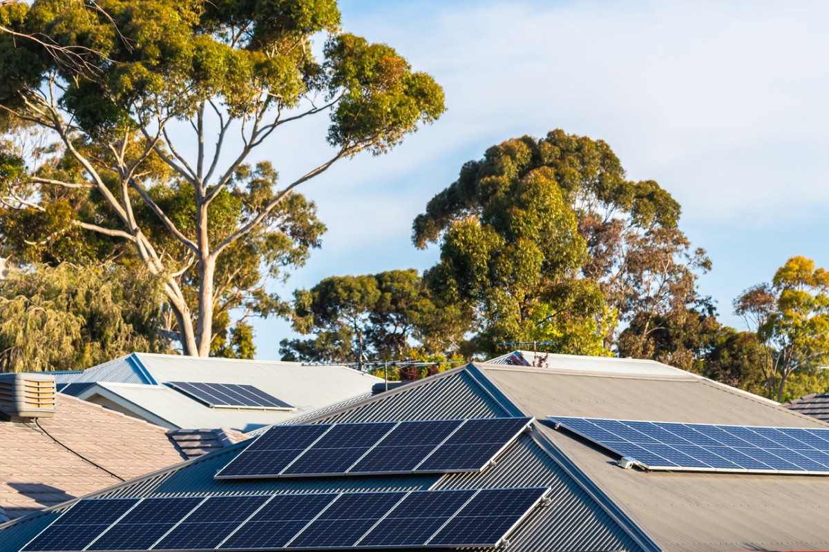 Rooftop solar panels with overhanging trees in the background.