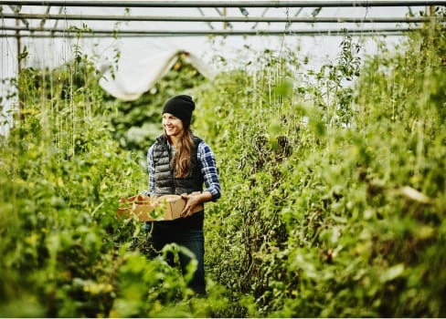 A woman standing among a forest of greenery in a greenhouse