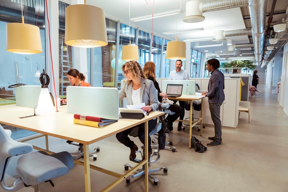 Employees sitting at desks in an open plan office