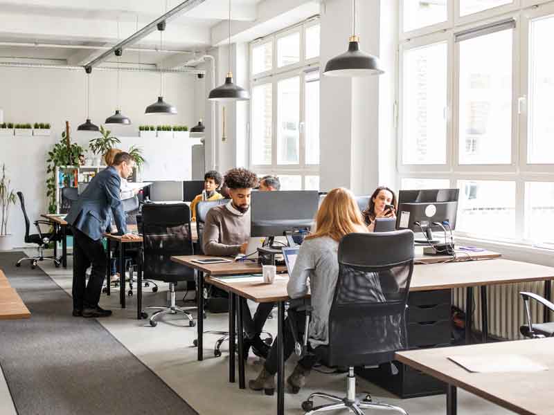Small office of people working on computers