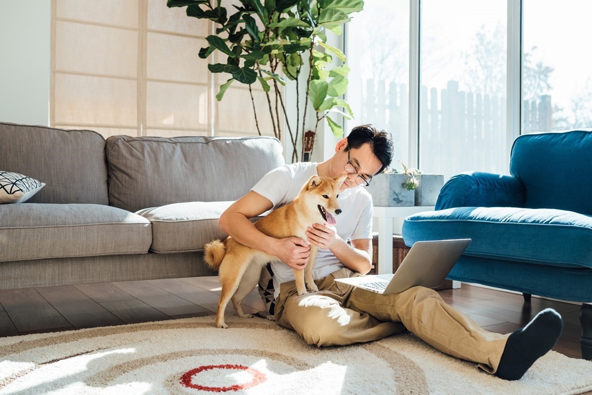 Man Using Laptop With Dog