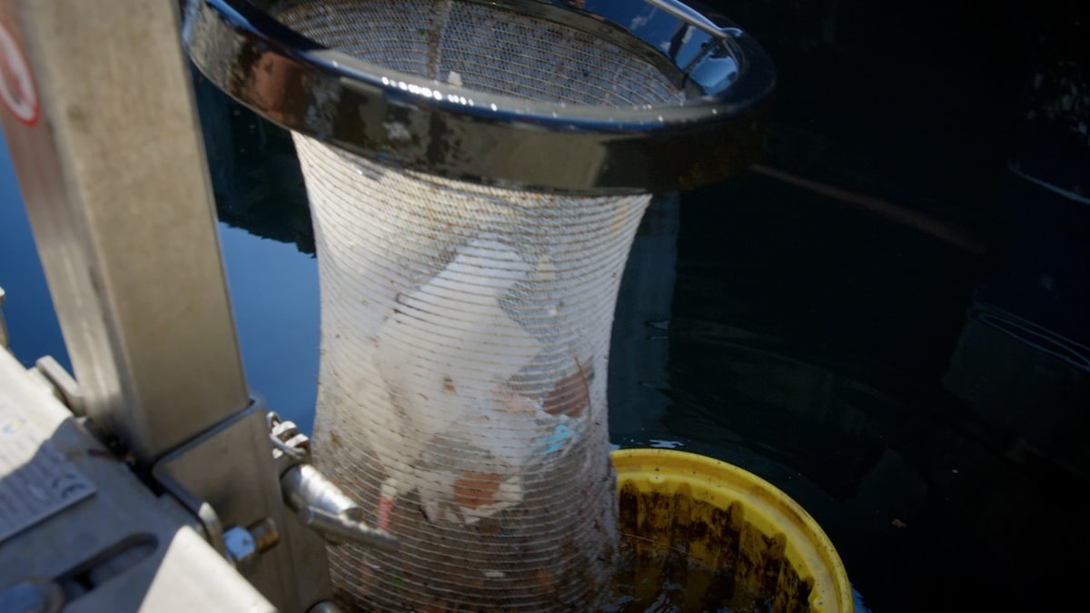 Plastic sorting machine of Seabin project