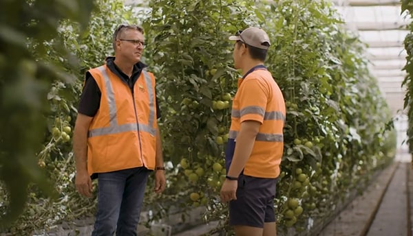 Two Lamanna employees at Lancaster farm