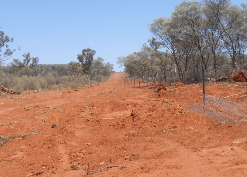 Dry outback dirt road on Westmere Regeneration Project land 