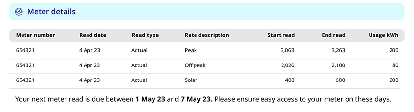 Meter details